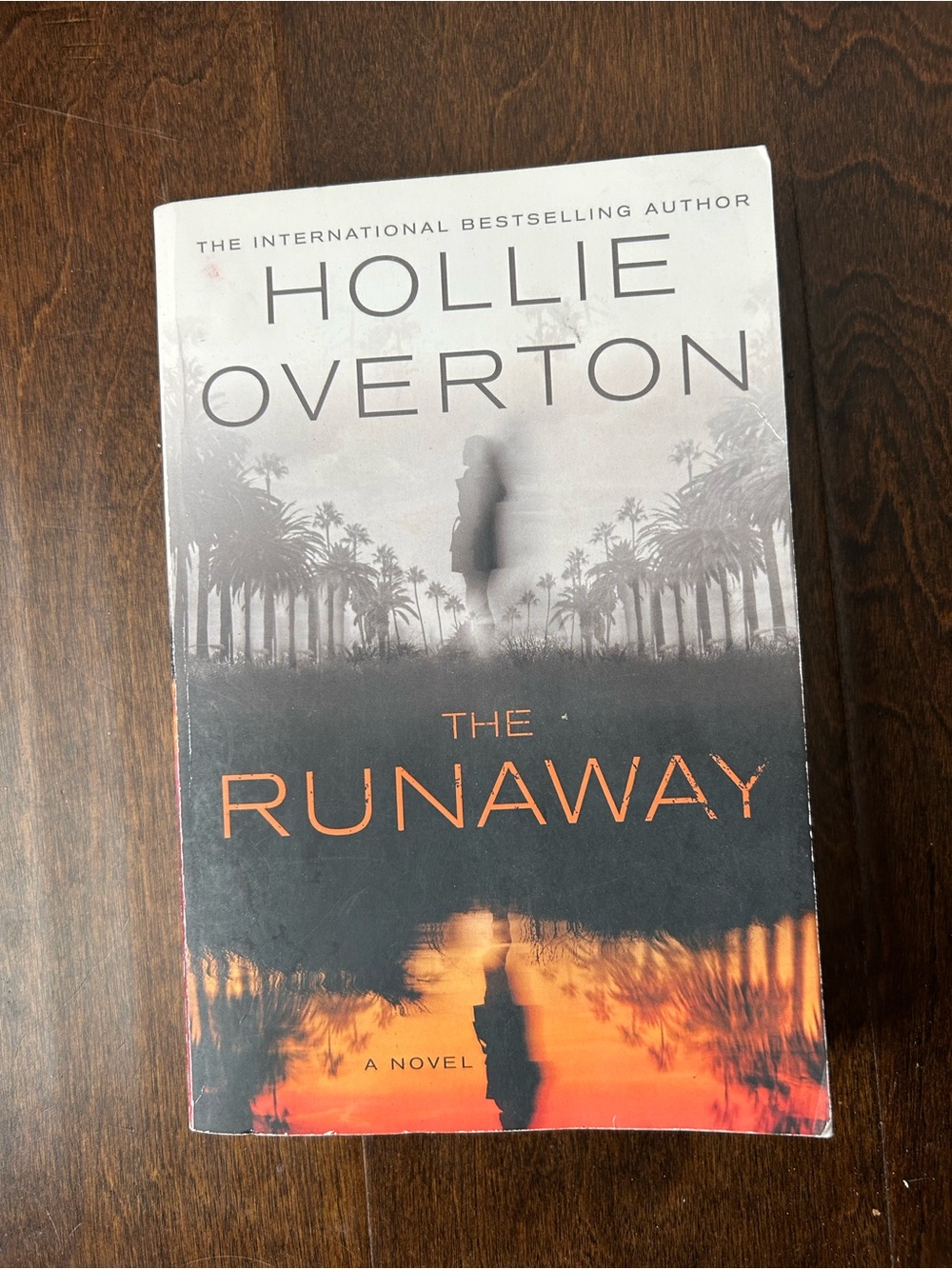 Novel - The Runaway - Hollie Overion